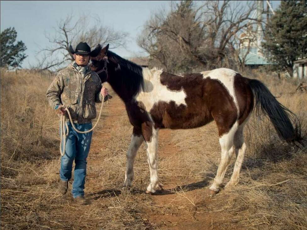 cowboy Texas kínai cowboy