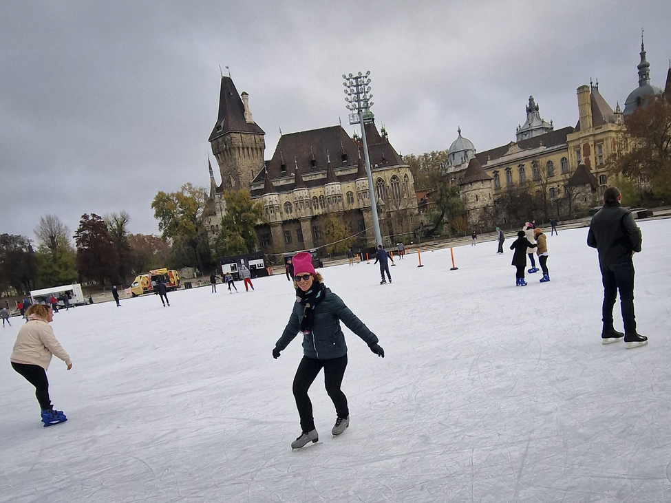 kórház macska korcsolya november gyárfás dorka