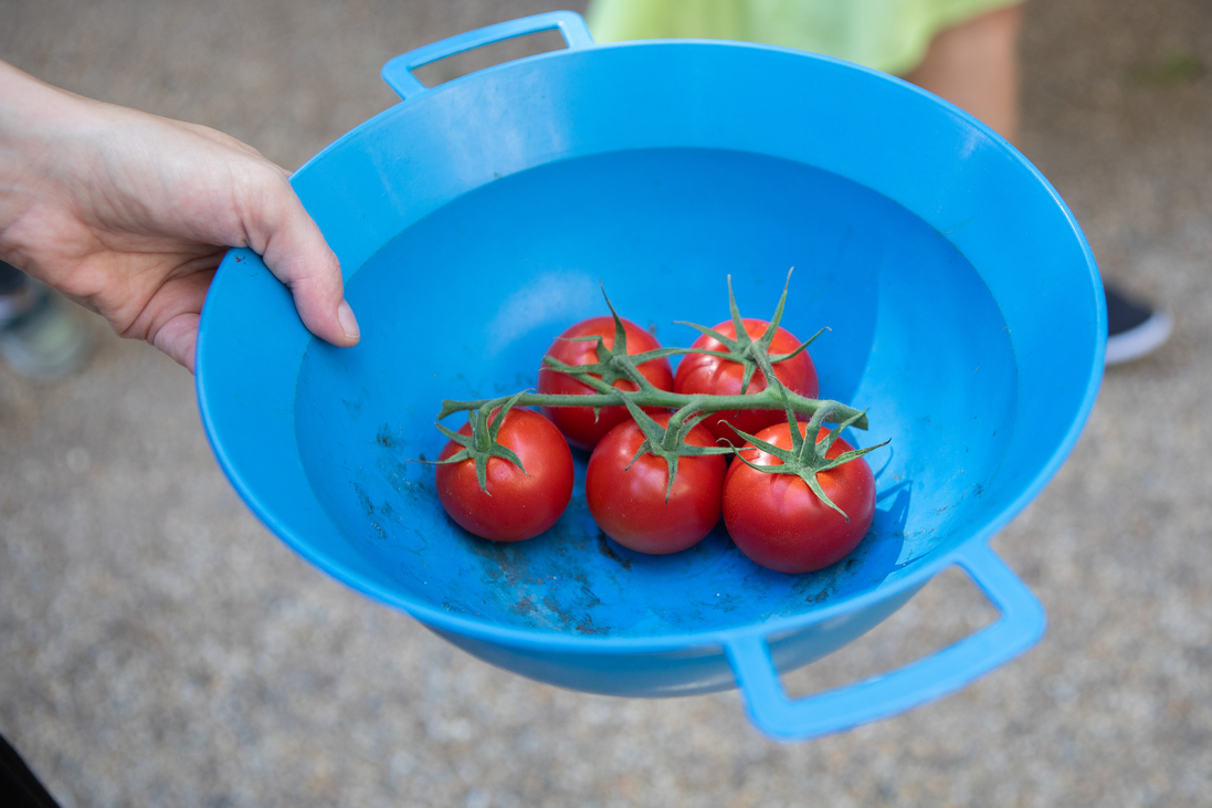 zero waste WWF hulladékmentes csomagolásmentes