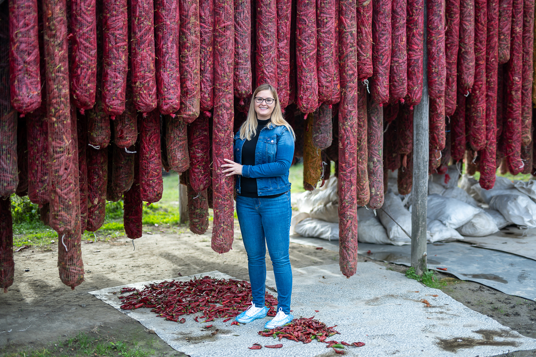 Okvátovity Dóra Fajszi Paprika Manufaktúra paprikatermesztés