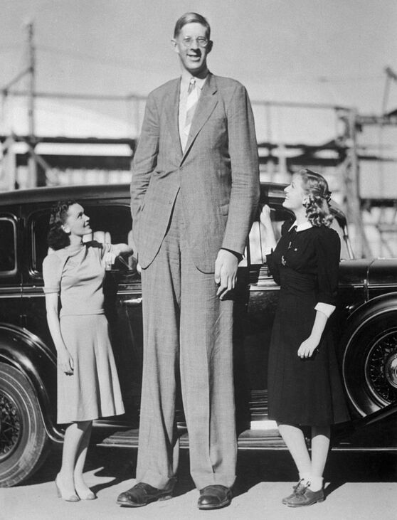 testmagasság Robert Pershing Wadlow