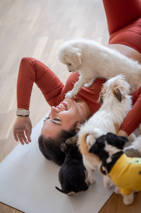 puppy yoga jóga kiskutyákkal Puppy Yoga Hungary Tóth Vivien