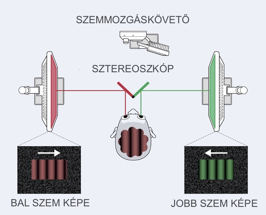 képzelet afantázia arcfelismerés hiperfantázia