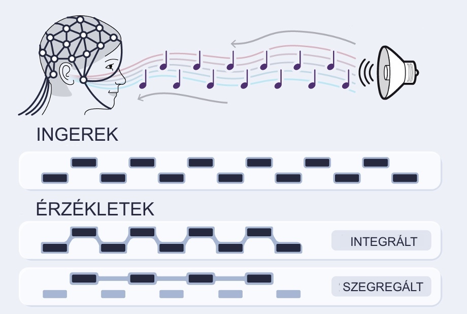 képzelet afantázia arcfelismerés hiperfantázia