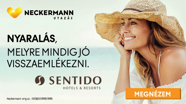 wmn - neckermann - sentido